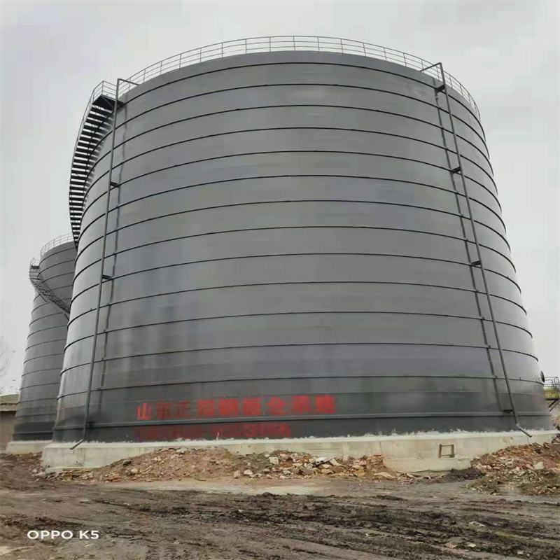 新龙镇3万吨大型钢板库